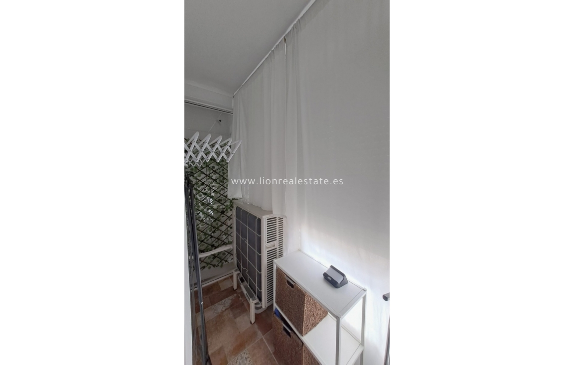 Long Term Rental - Apartment / flat - Punta Prima