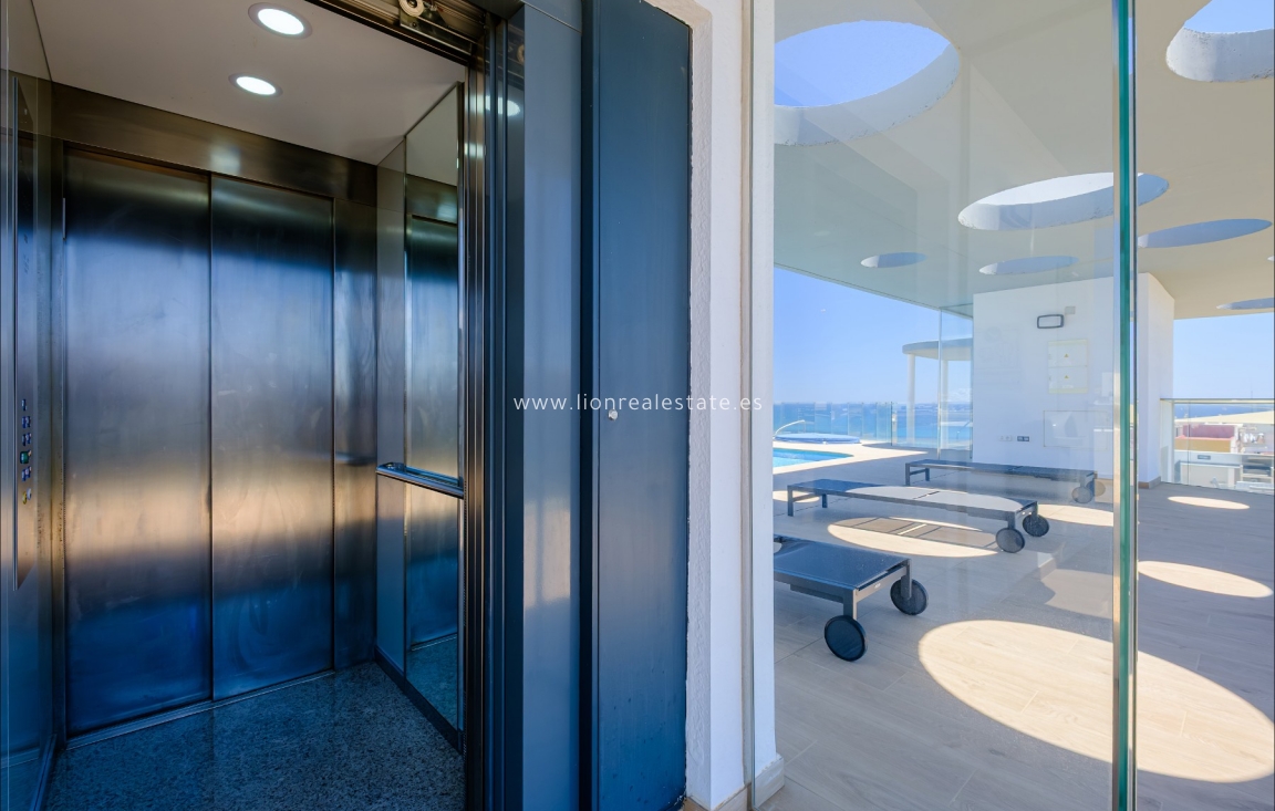 Long Term Rental - Apartment / flat - Punta Prima