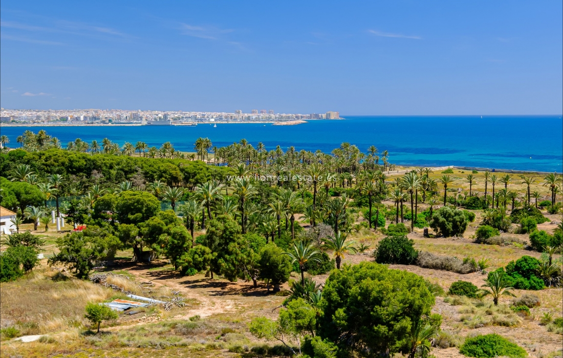 Long Term Rental - Apartment / flat - Punta Prima