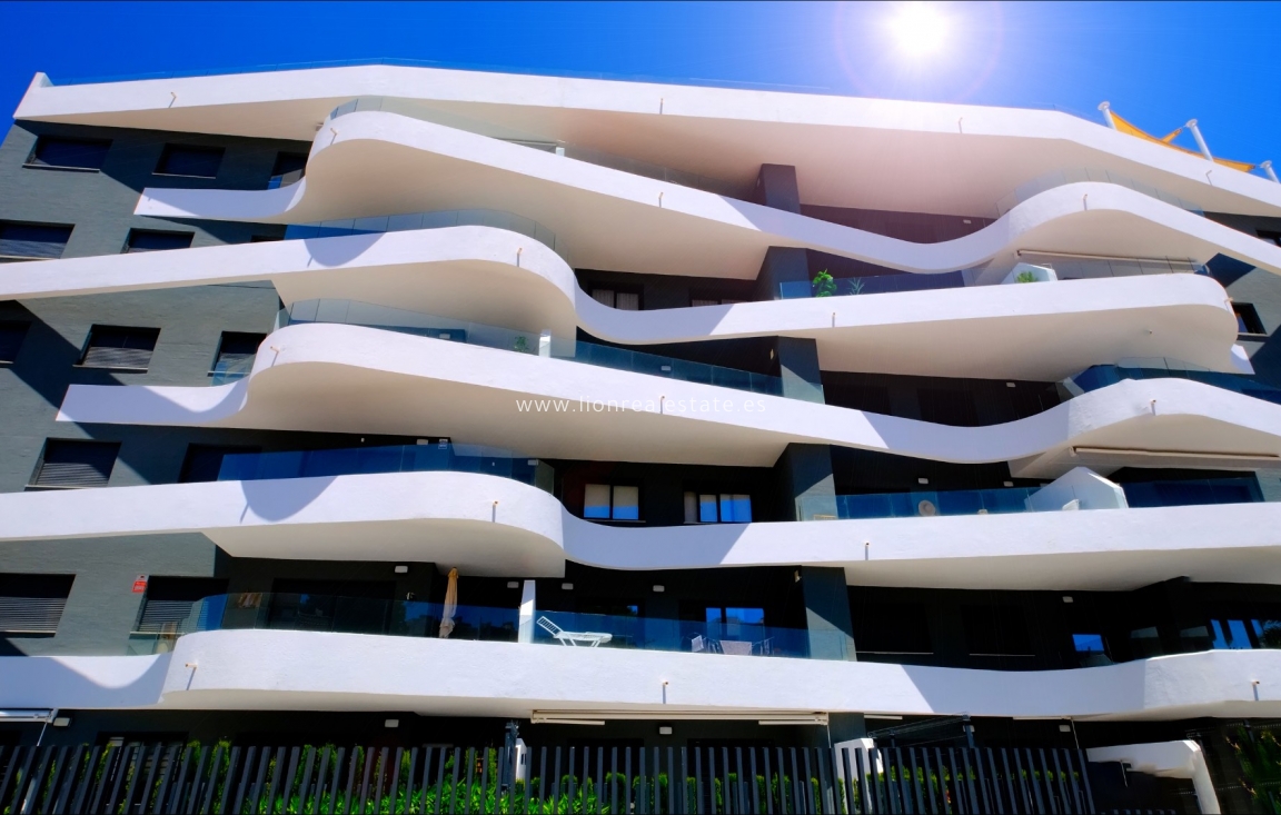 Long Term Rental - Apartment / flat - Punta Prima
