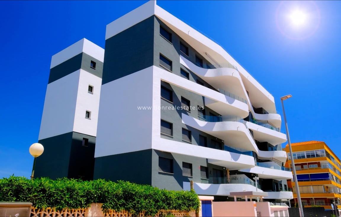 Long Term Rental - Apartment / flat - Punta Prima