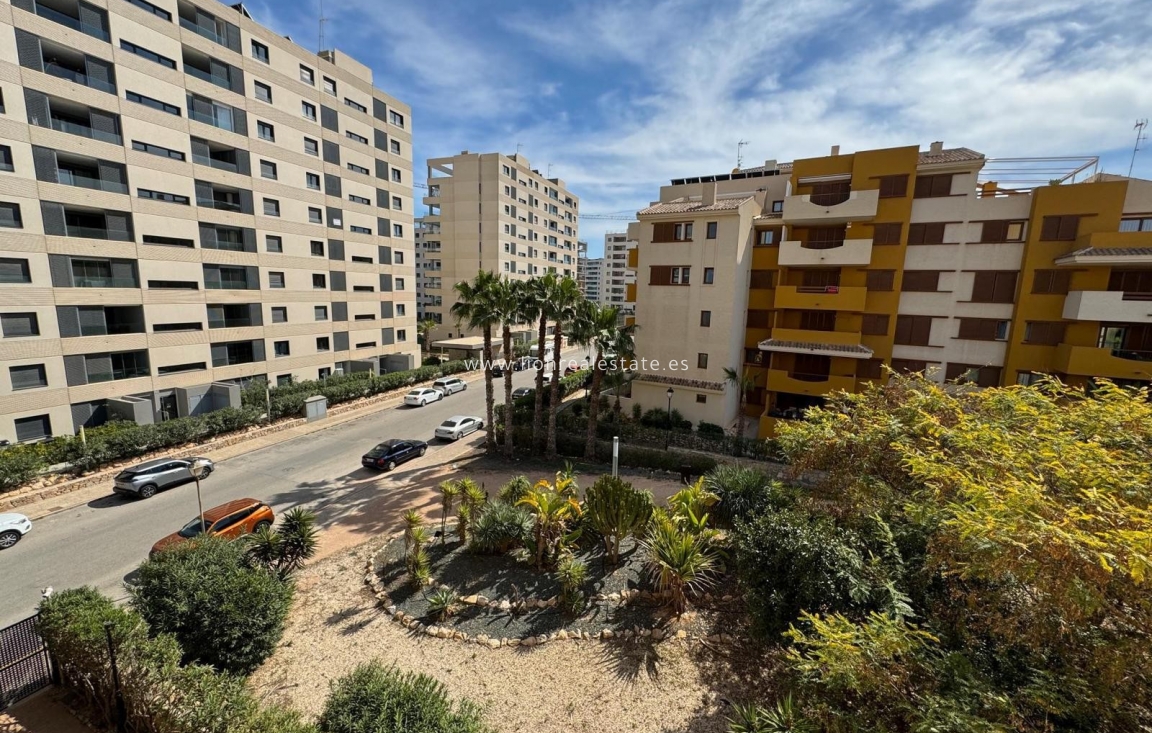 Long Term Rental - Apartment / flat - Punta Prima