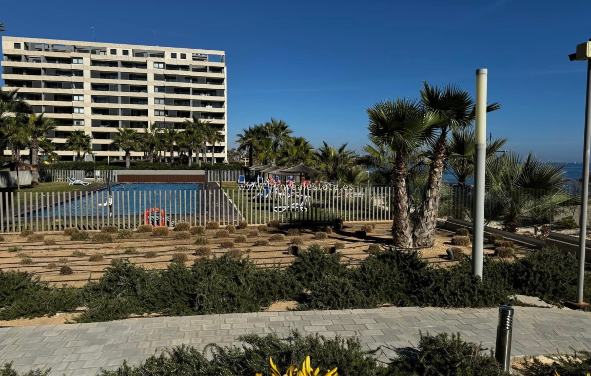 Long Term Rental - Apartment / flat - Punta Prima