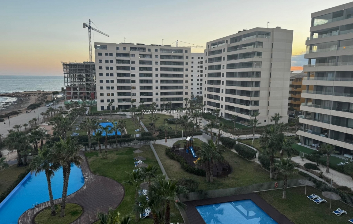 Long Term Rental - Apartment / flat - Punta Prima