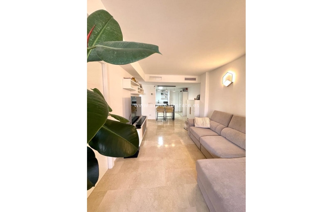 Long Term Rental - Apartment / flat - Punta Prima