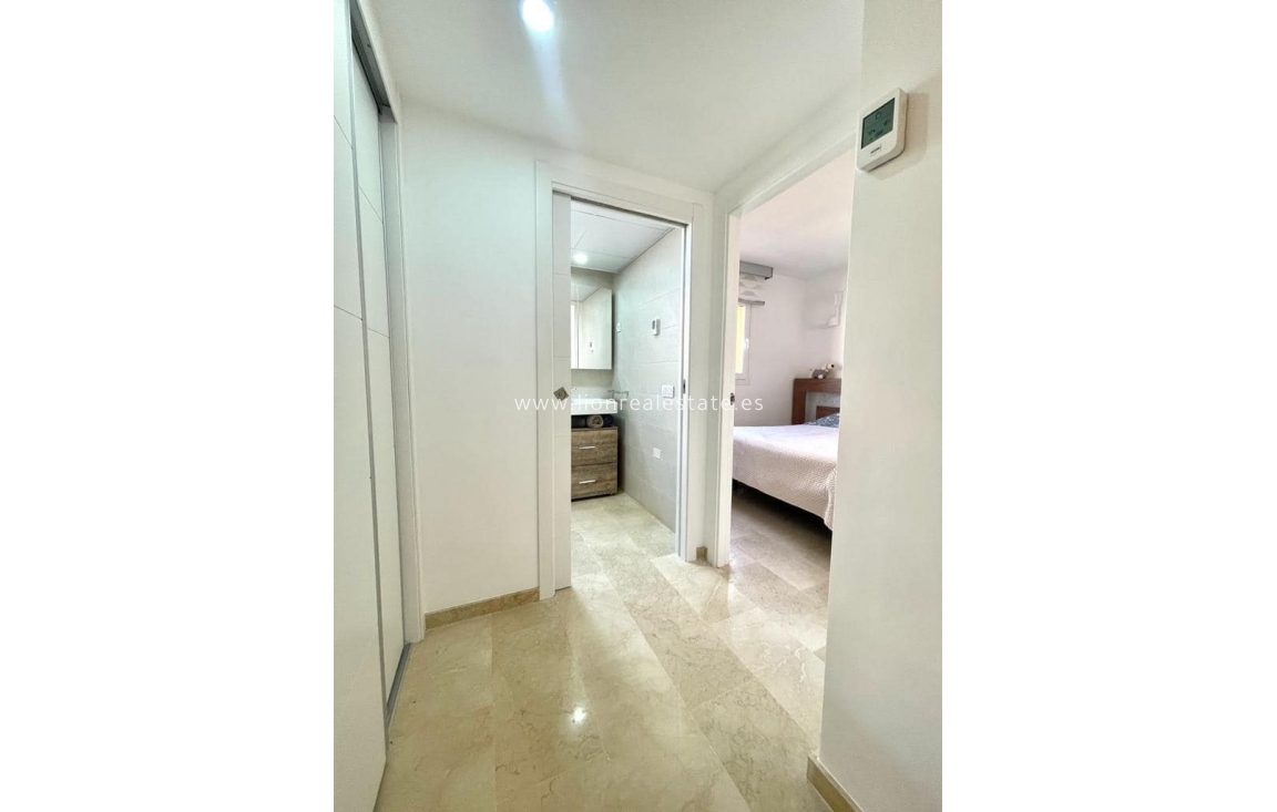 Long Term Rental - Apartment / flat - Punta Prima