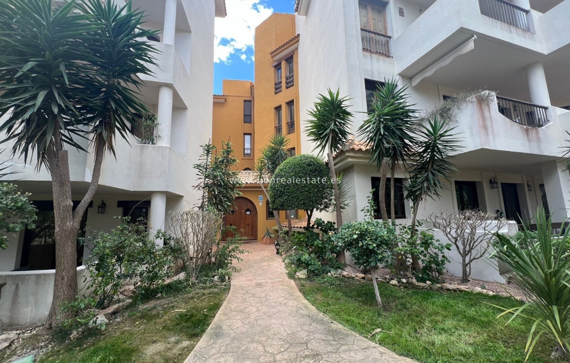 Long Term Rental - Apartment / flat - Punta Prima