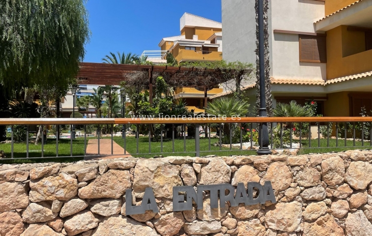 Long Term Rental - Apartment / flat - Punta Prima