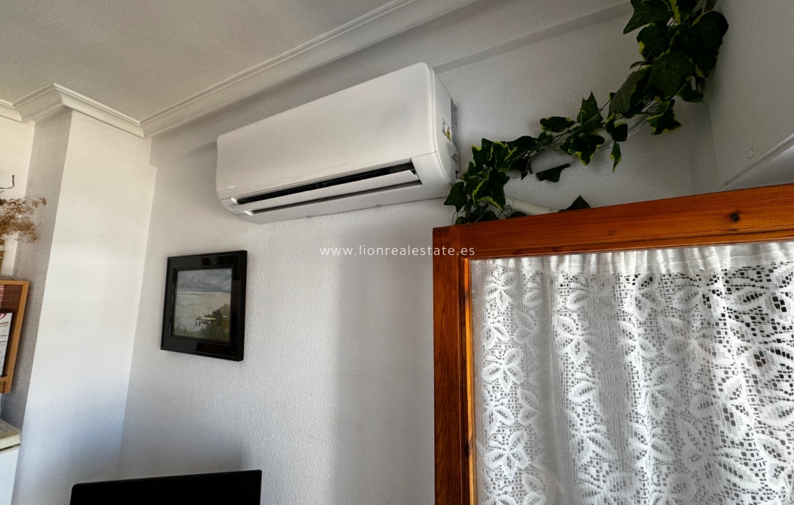 Long Term Rental - Apartment / flat - Punta Prima