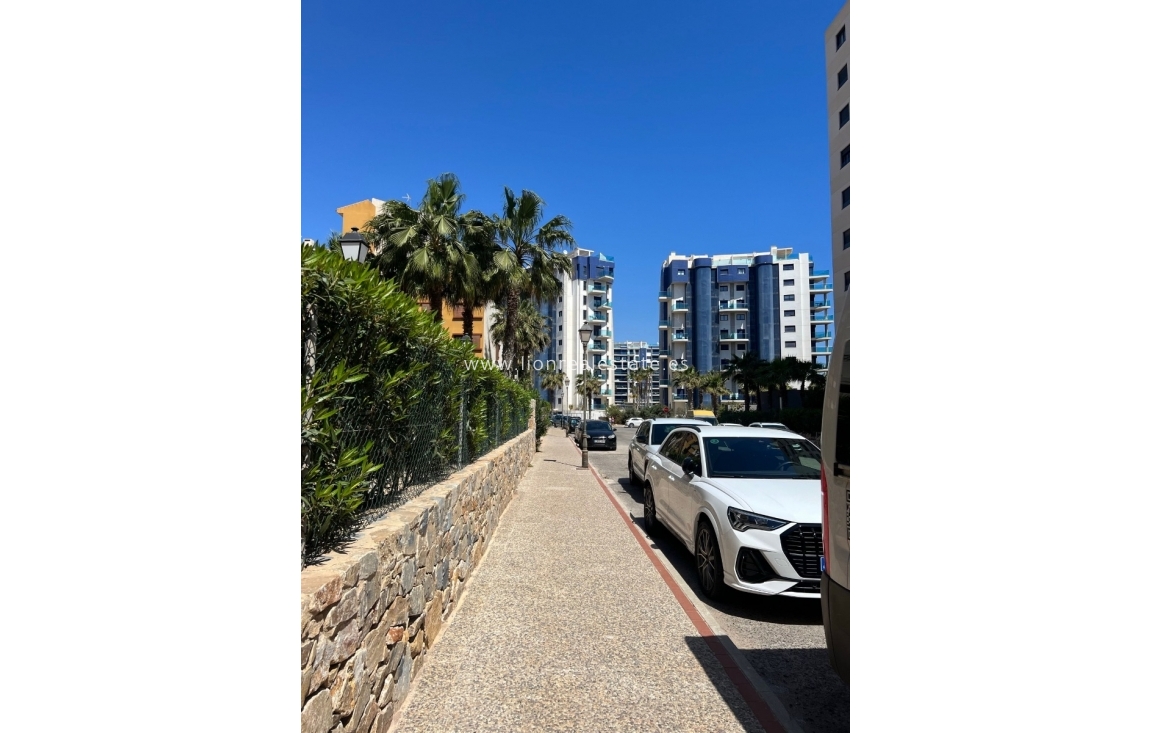 Long Term Rental - Apartment / flat - Punta Prima