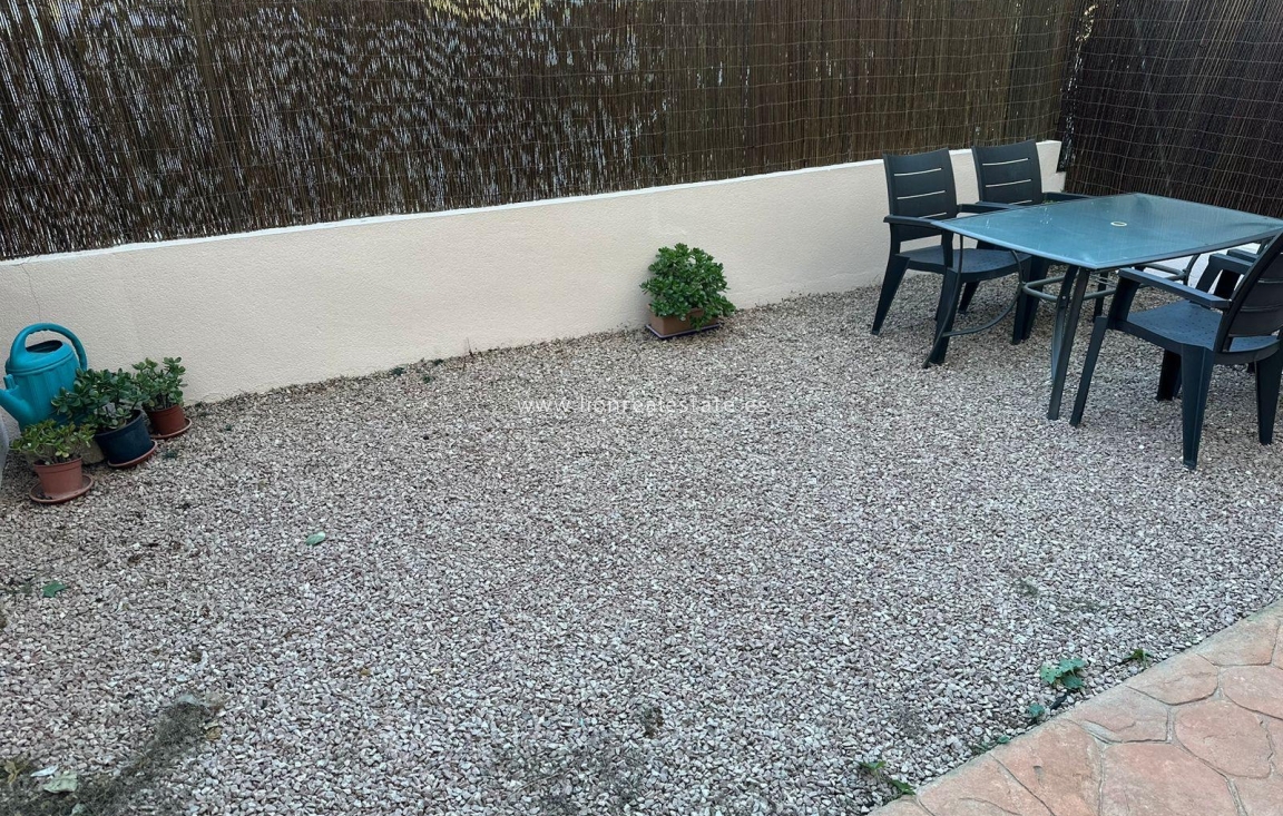 Long Term Rental - Apartment / flat - Punta Prima