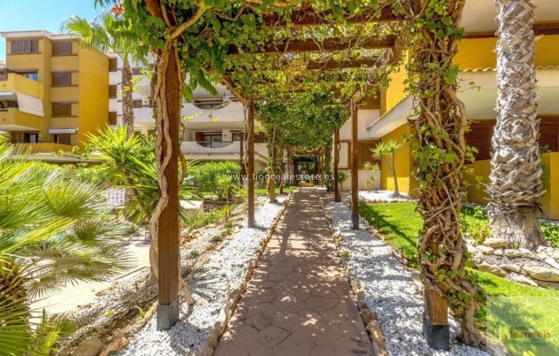 Long Term Rental - Apartment / flat - Punta Prima