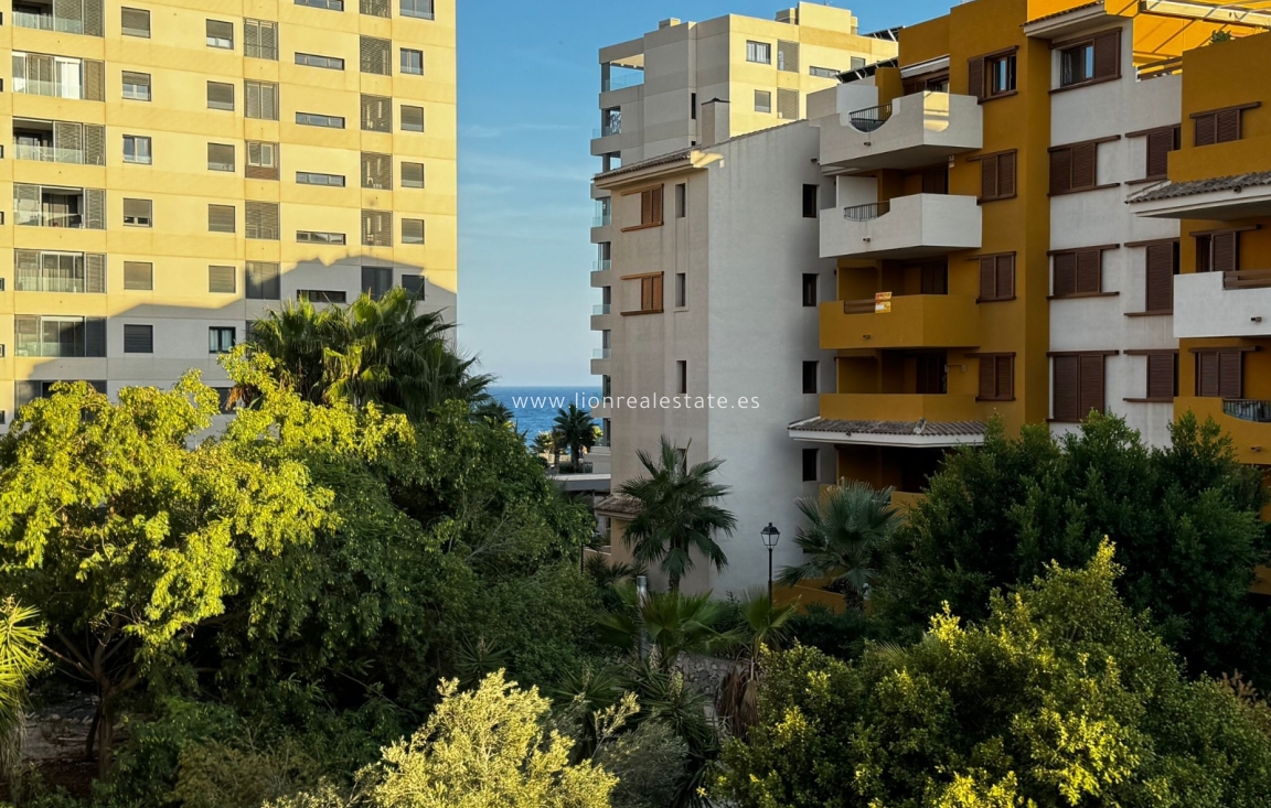 Long Term Rental - Apartment / flat - Punta Prima