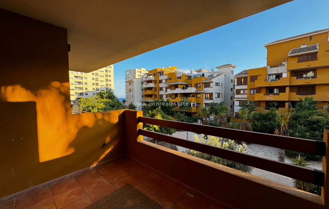 Long Term Rental - Apartment / flat - Punta Prima