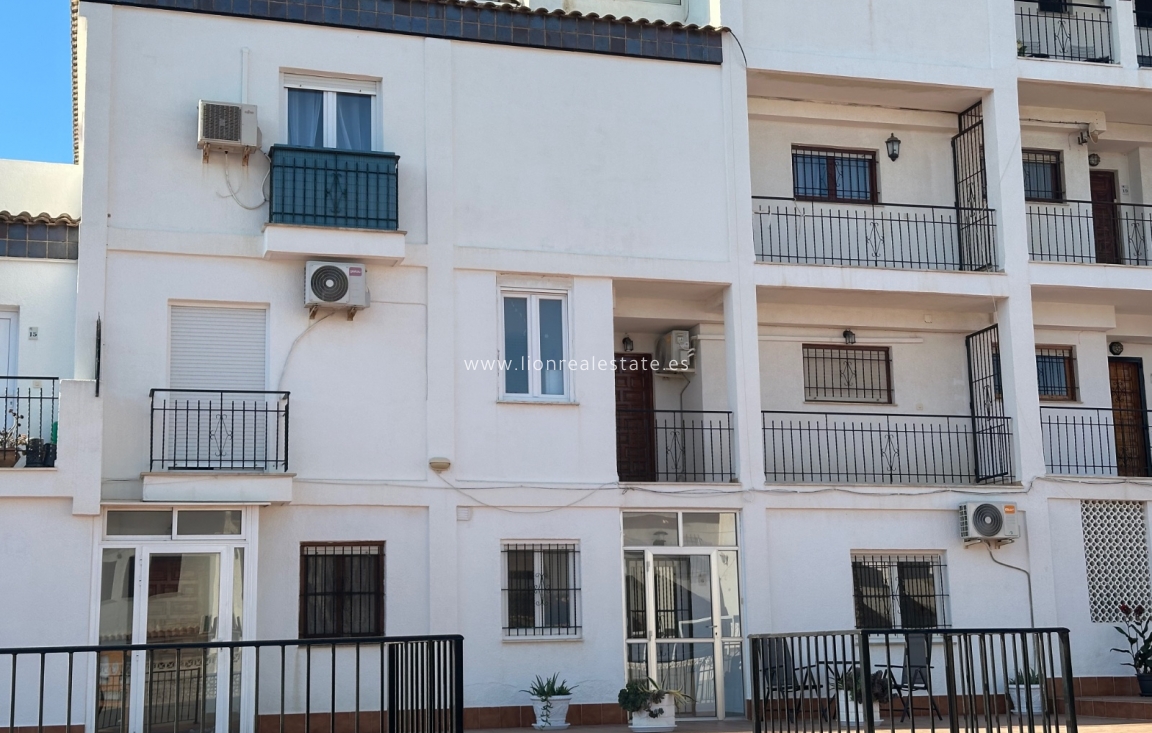 Long Term Rental - Apartment / flat - Punta Prima