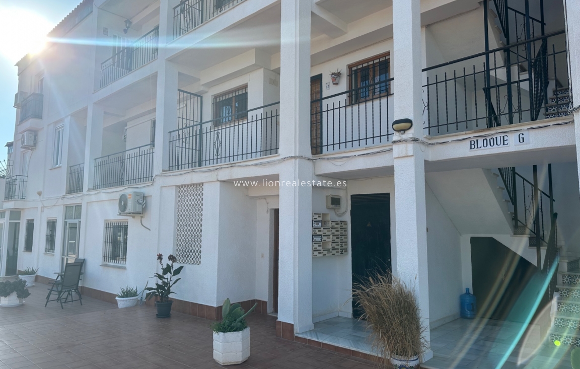 Long Term Rental - Apartment / flat - Punta Prima