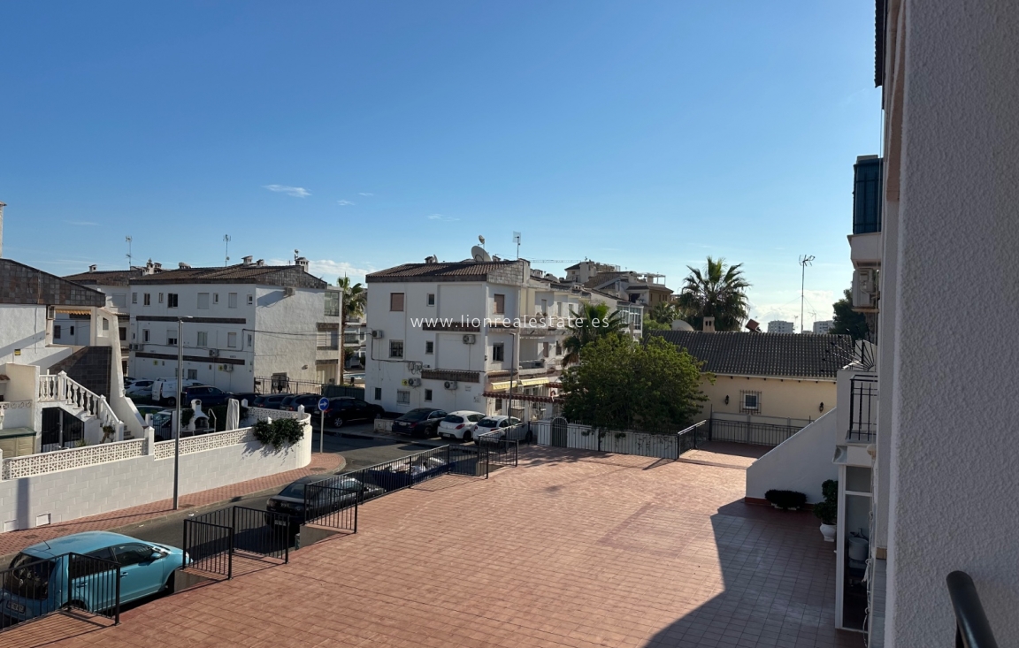 Long Term Rental - Apartment / flat - Punta Prima