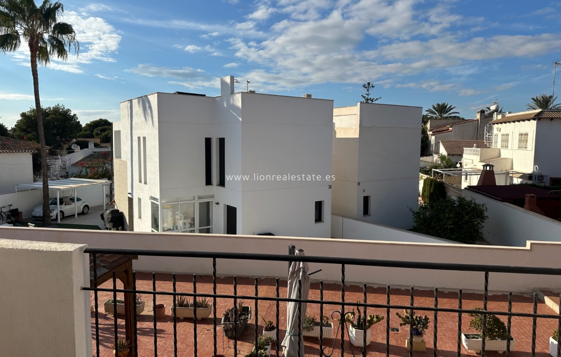 Long Term Rental - Apartment / flat - Punta Prima