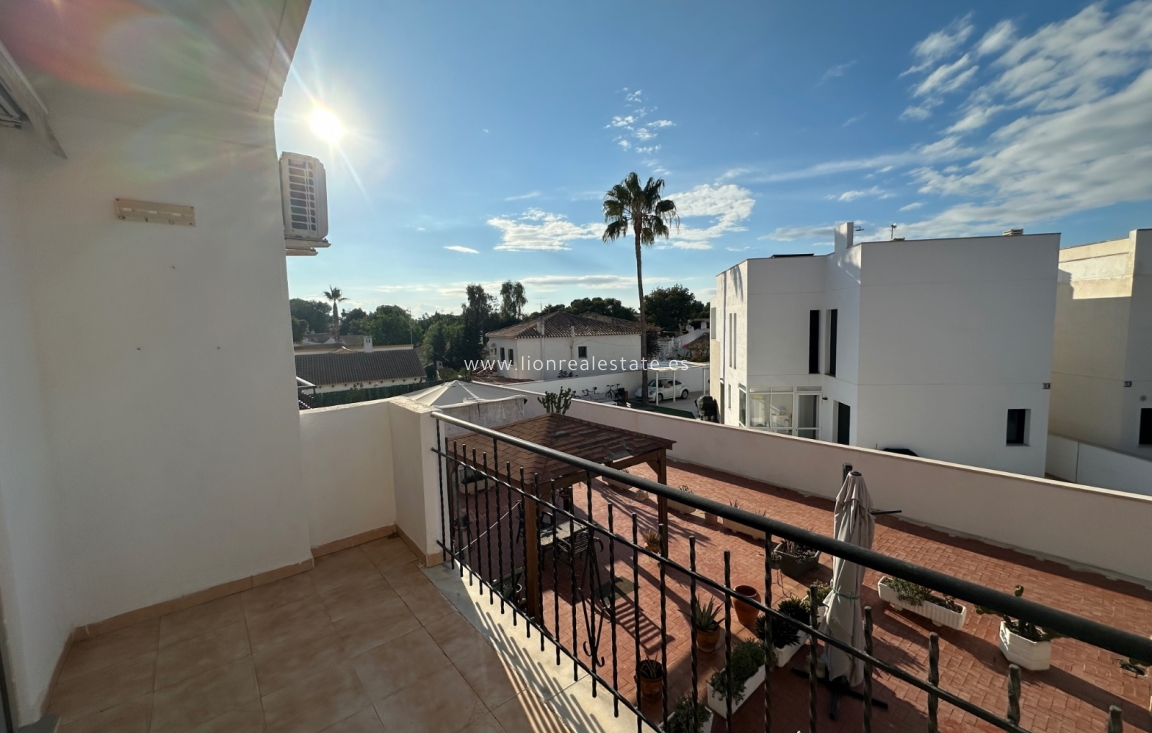 Long Term Rental - Apartment / flat - Punta Prima