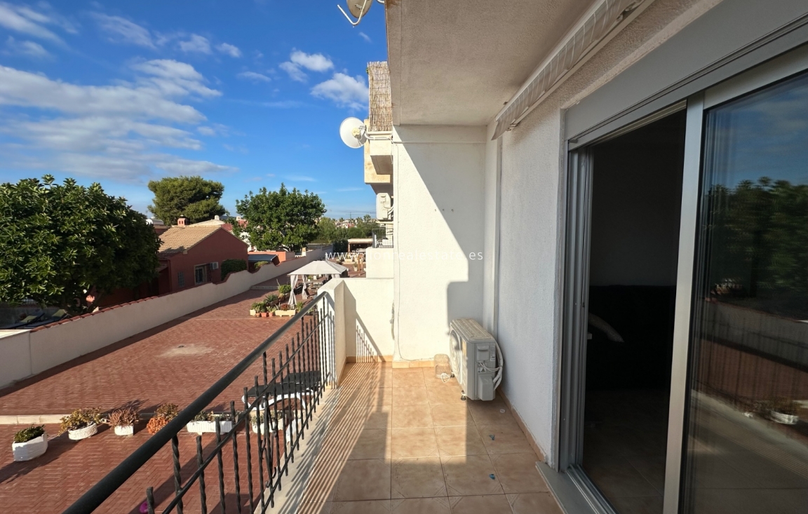 Long Term Rental - Apartment / flat - Punta Prima