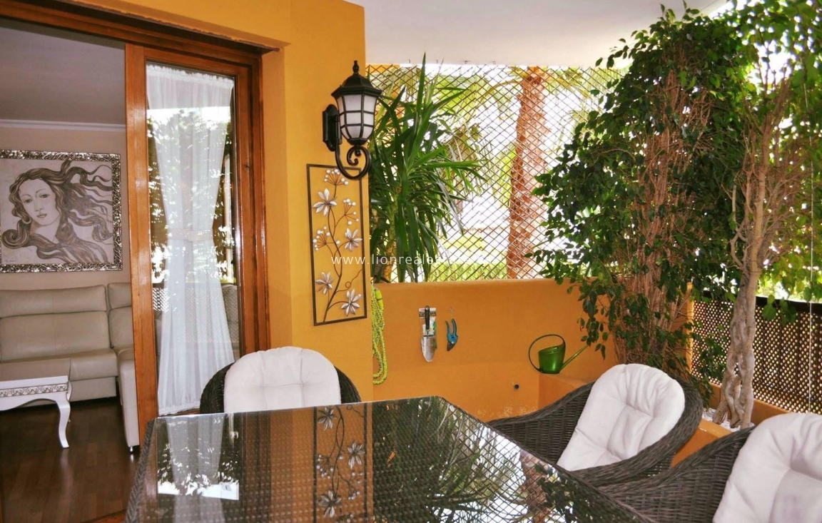 Long Term Rental - Apartment / flat - Punta Prima