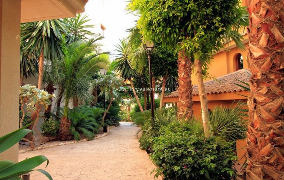 Long Term Rental - Apartment / flat - Punta Prima