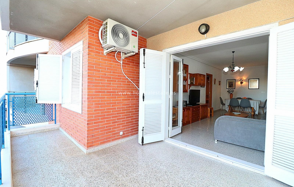 Long Term Rental - Apartment / flat - Torrevieja - Acequion