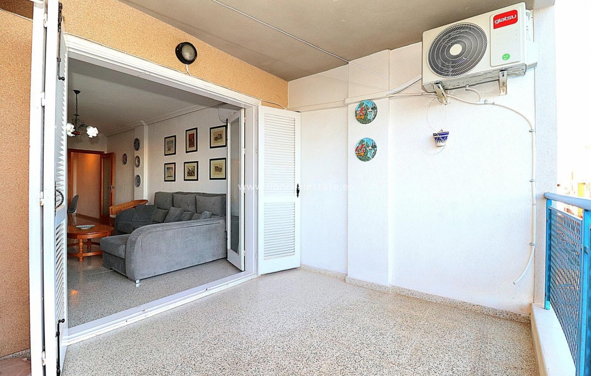 Long Term Rental - Apartment / flat - Torrevieja - Acequion