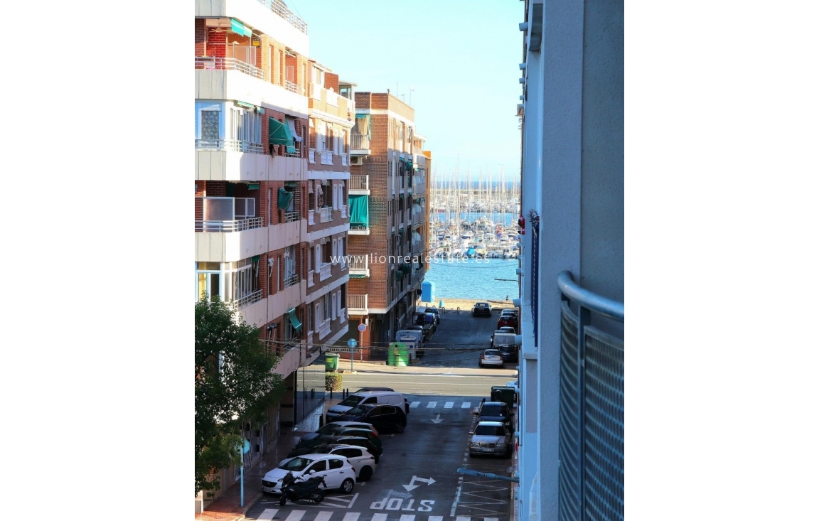 Long Term Rental - Apartment / flat - Torrevieja - Acequion