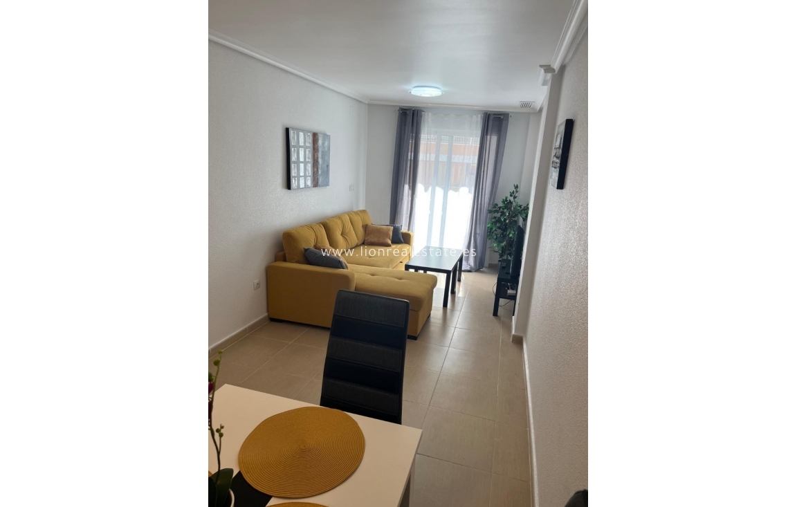 Long Term Rental - Apartment / flat - Torrevieja - Centro