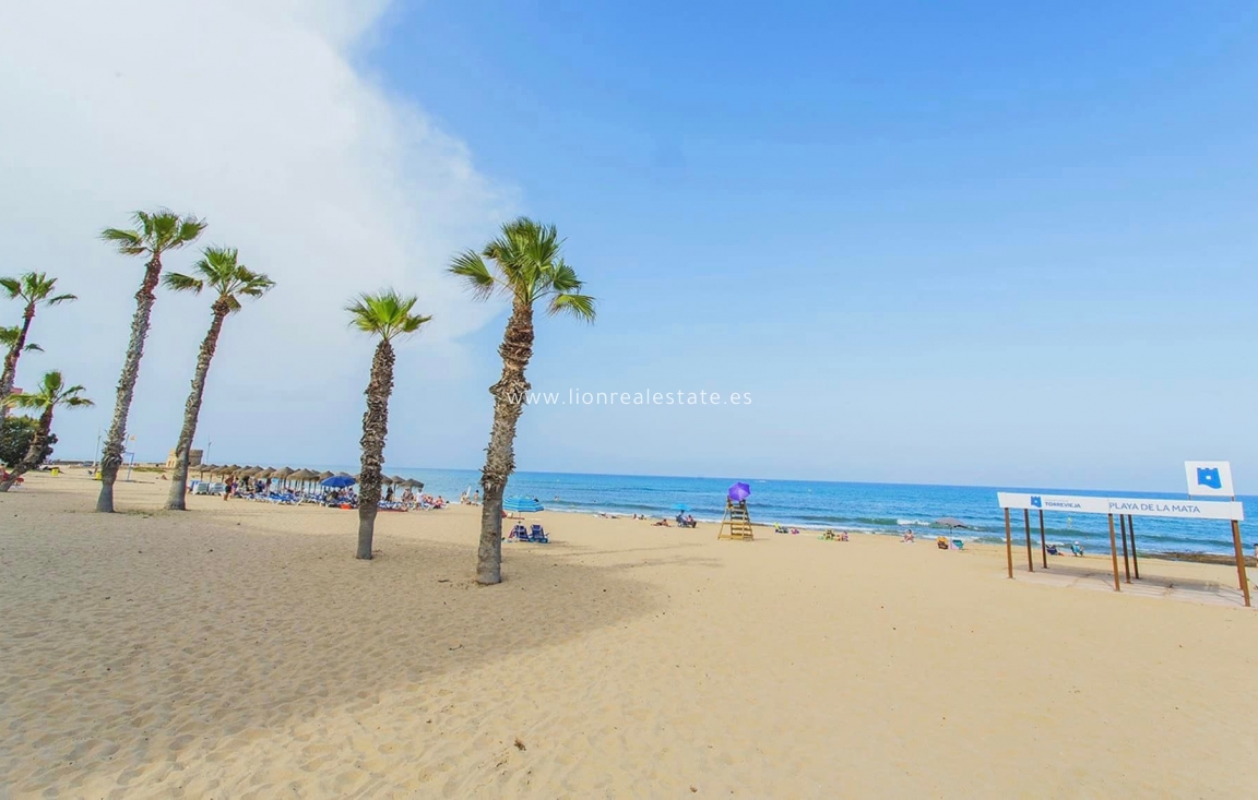 Long Term Rental - Apartment / flat - Torrevieja - La Mata