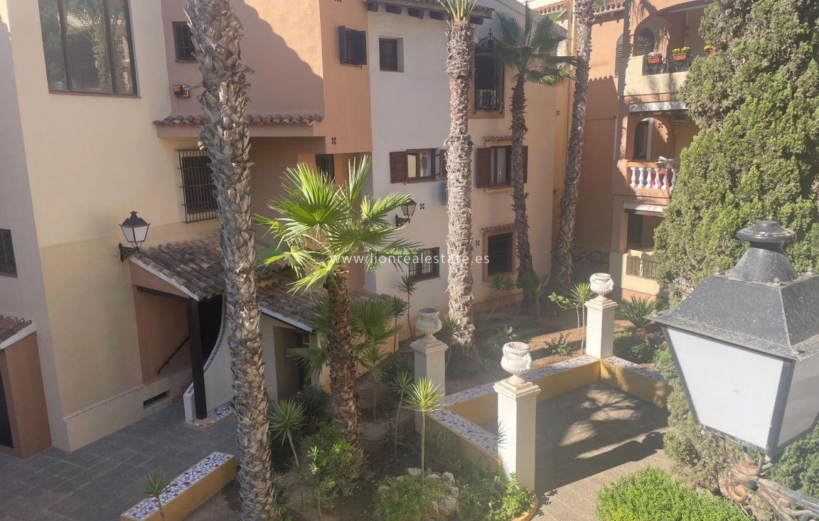 Long Term Rental - Apartment / flat - Torrevieja - Los Locos