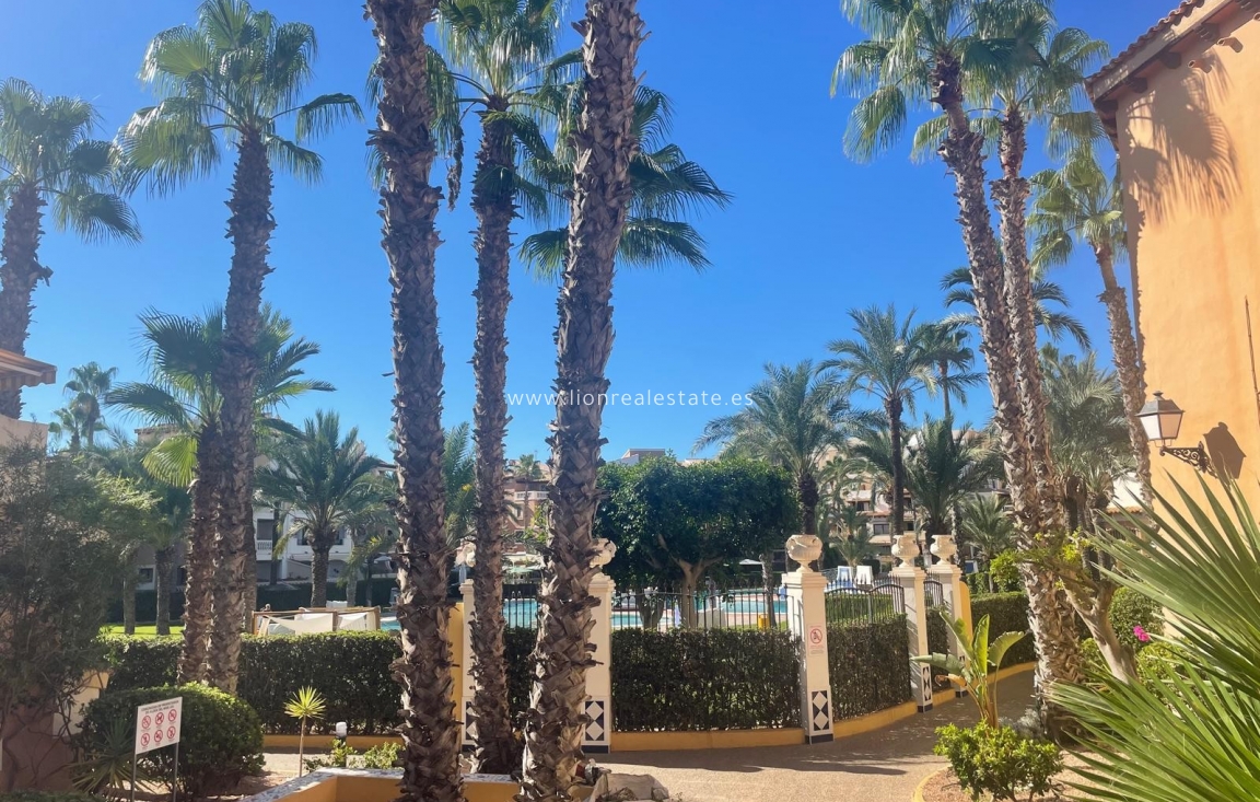 Long Term Rental - Apartment / flat - Torrevieja - Los Locos