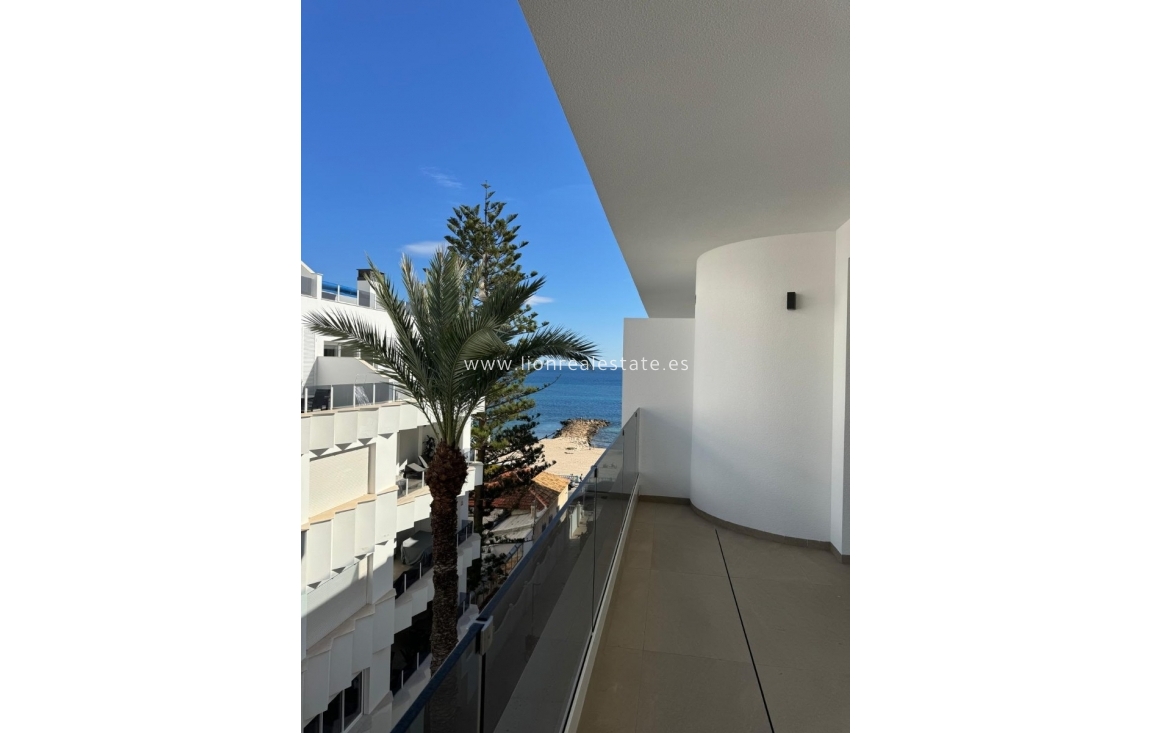 Long Term Rental - Apartment / flat - Torrevieja - Los Locos
