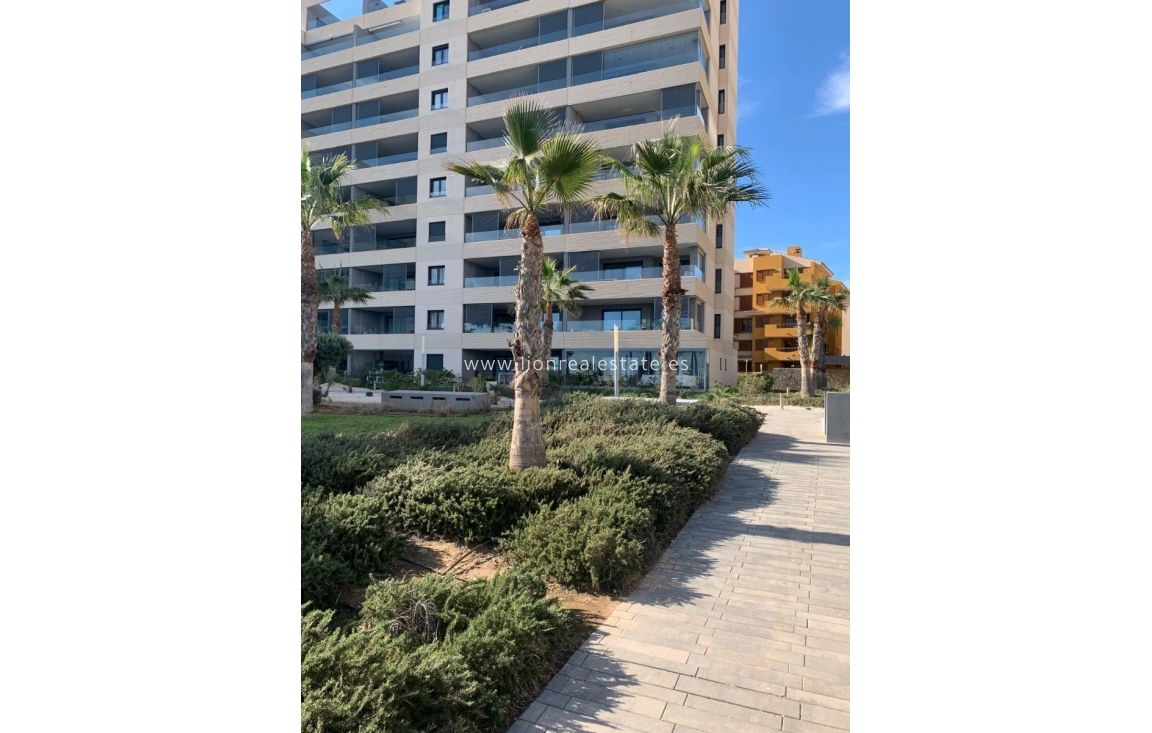 Long Term Rental - Apartment / flat - Torrevieja - Punta Prima