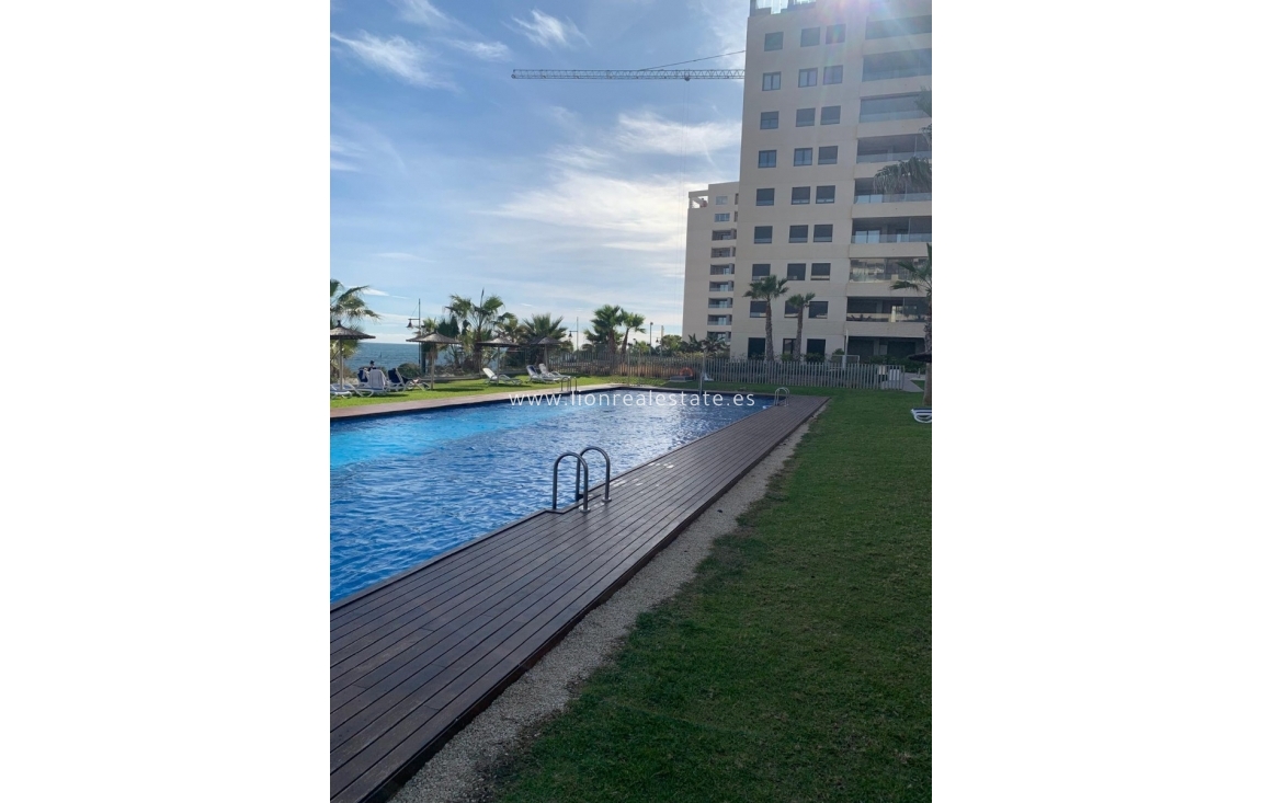 Long Term Rental - Apartment / flat - Torrevieja - Punta Prima