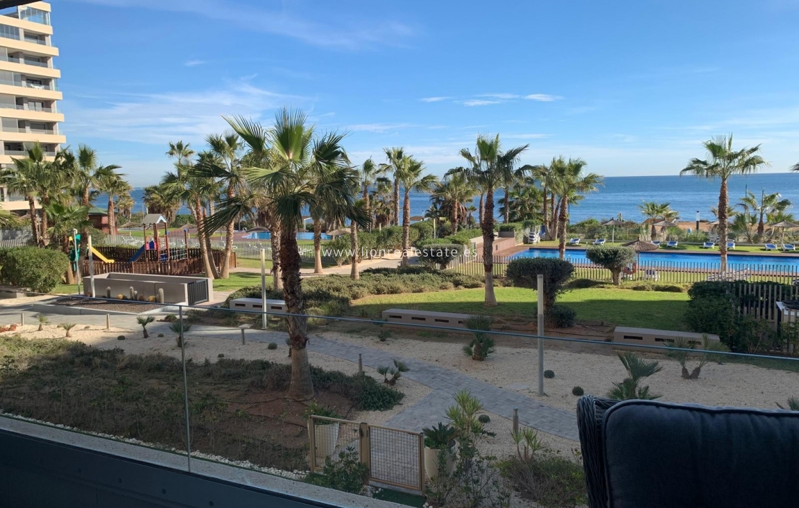 Long Term Rental - Apartment / flat - Torrevieja - Punta Prima