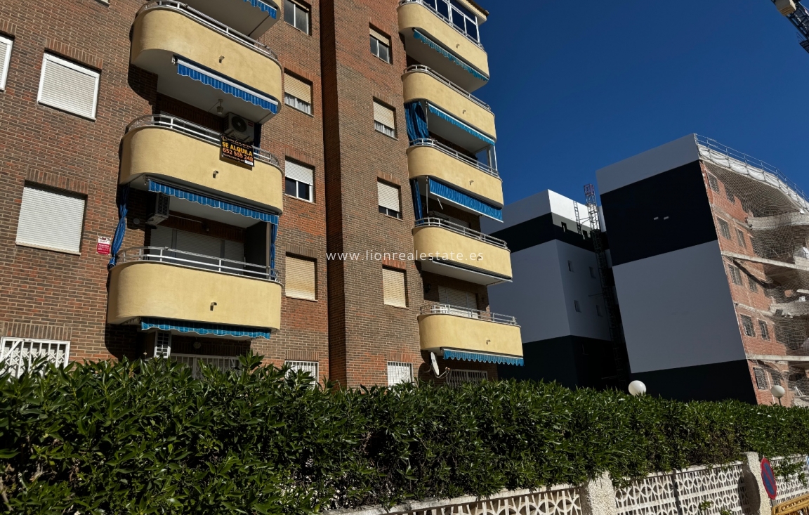 Long Term Rental - Apartment / flat - Torrevieja - Punta Prima