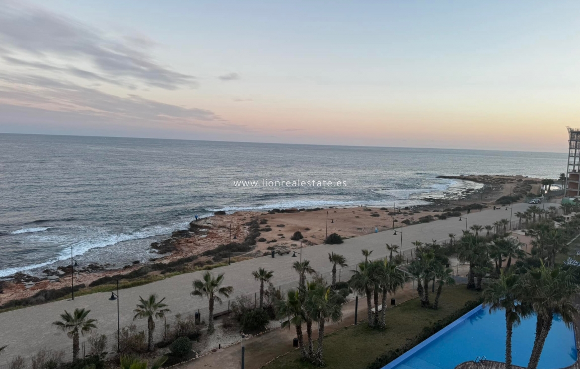 Long Term Rental - Apartment / flat - Torrevieja - Punta Prima