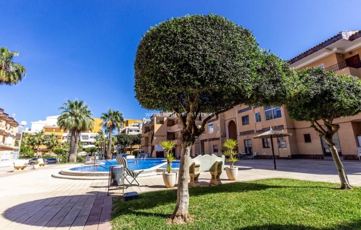 Long Term Rental - Apartment / flat - Torrevieja - Punta Prima