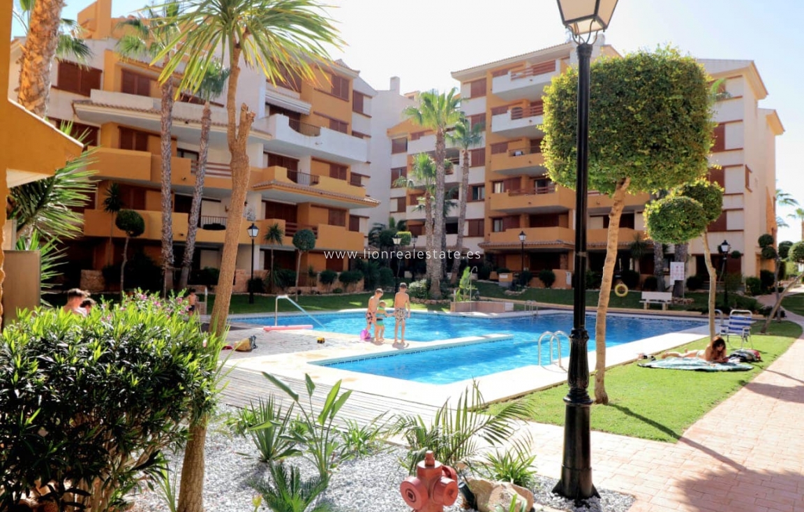 Long Term Rental - Apartment / flat - Torrevieja - Punta Prima