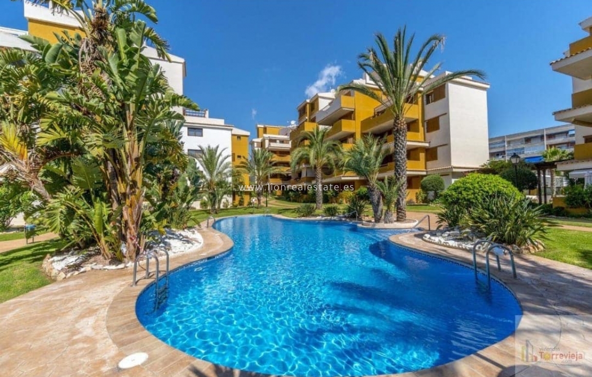 Long Term Rental - Apartment / flat - Torrevieja - Punta Prima