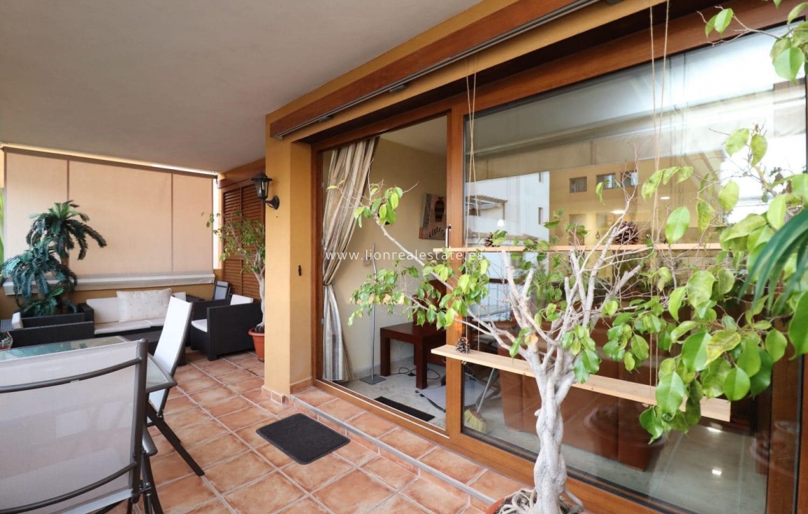 Long Term Rental - Apartment / flat - Torrevieja - Punta Prima