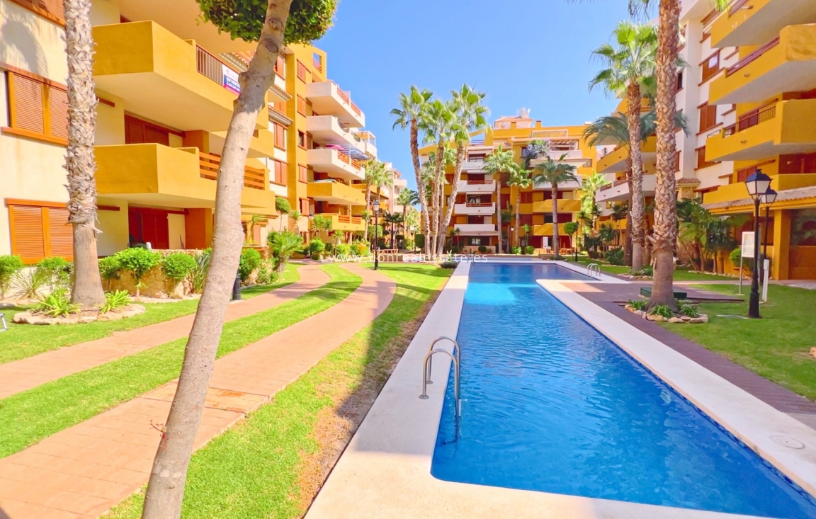 Long Term Rental - Apartment / flat - Torrevieja - Punta Prima