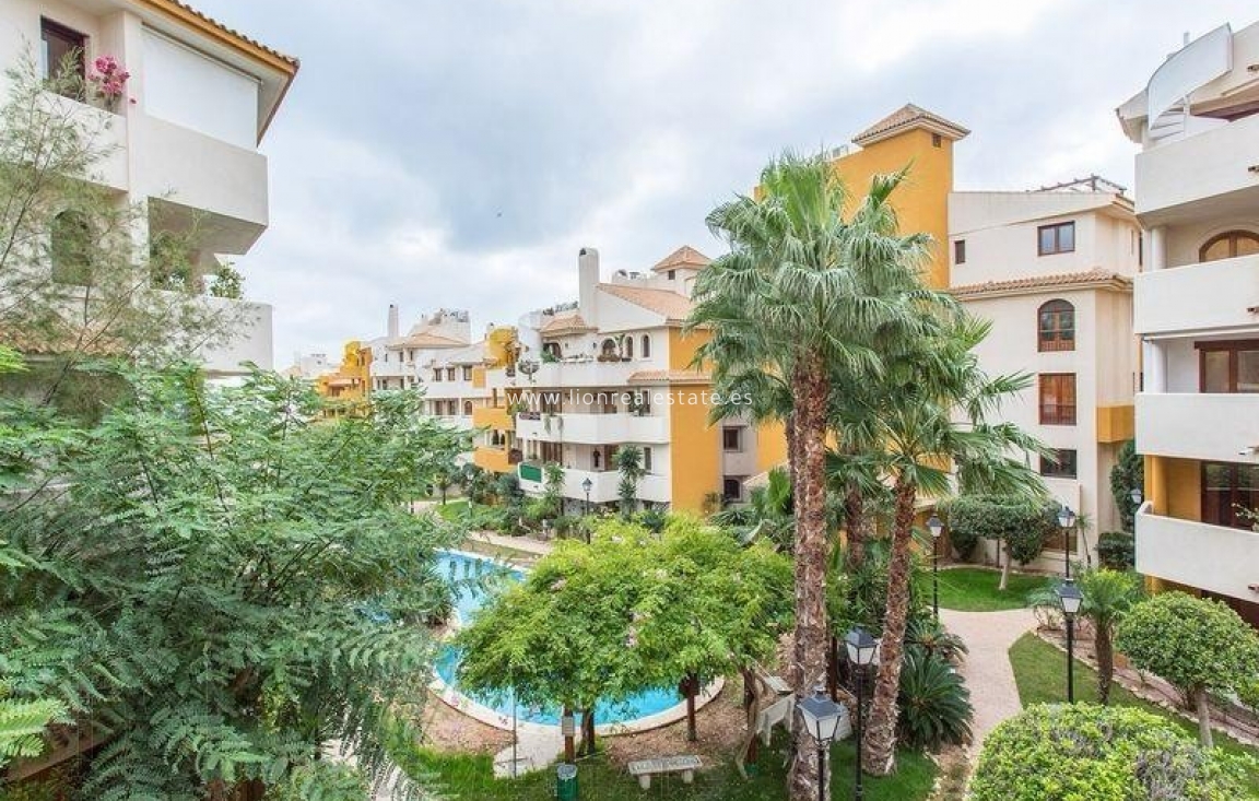 Long Term Rental - Apartment / flat - Torrevieja - Punta Prima