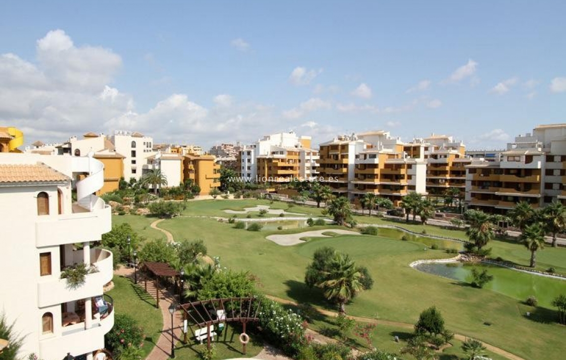 Long Term Rental - Apartment / flat - Torrevieja - Punta Prima