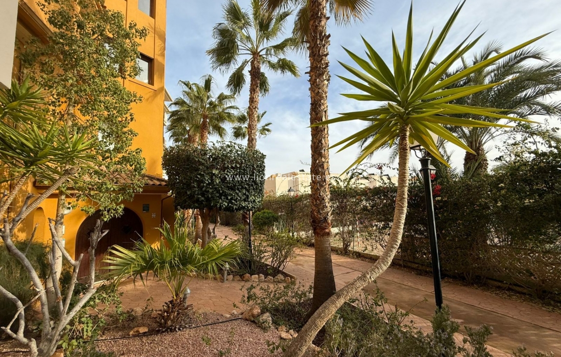 Long Term Rental - Apartment / flat - Torrevieja - Punta Prima