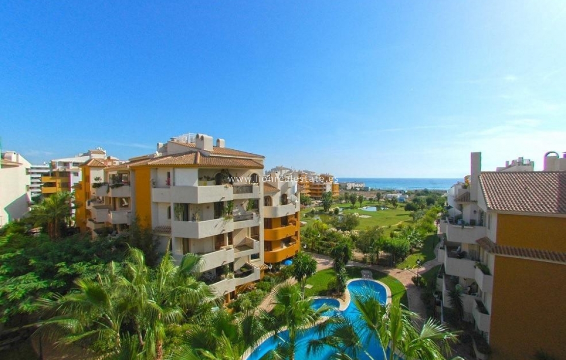 Long Term Rental - Apartment / flat - Torrevieja - Punta Prima