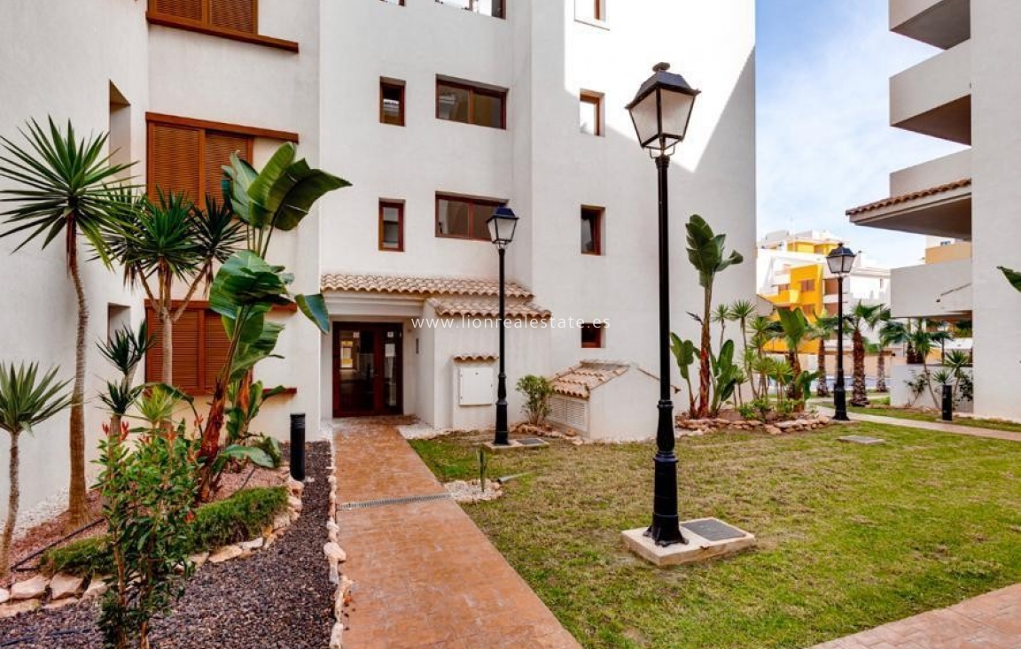 Long Term Rental - Apartment / flat - Torrevieja - Punta Prima