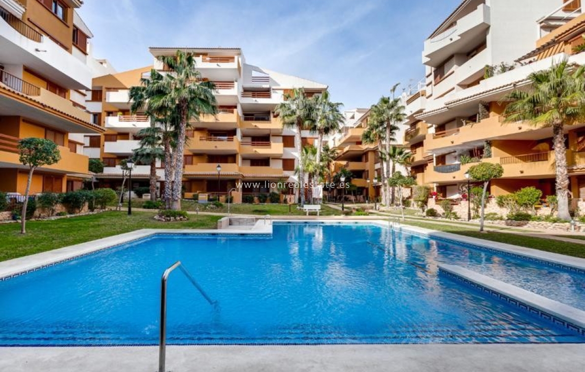 Long Term Rental - Apartment / flat - Torrevieja - Punta Prima